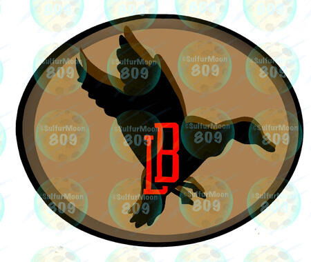 Custom Logos