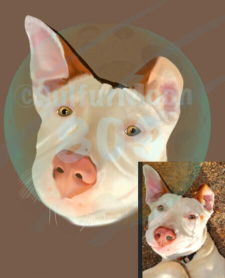 Custom Animal Digital Art
