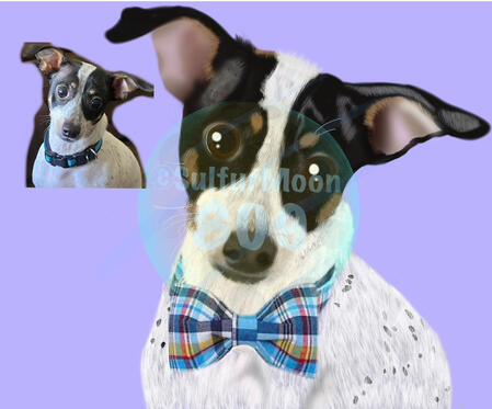 Custom Animal Digital Art